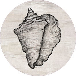 Annie LaPoint ALP2330RP - ALP2330RP - Conch Shell - 18x18  from Penny Lane