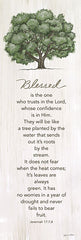 ALP2347 - Blessed - 6x18