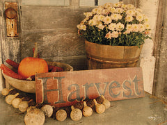 ANT106 - Autumn Harvest - 16x12