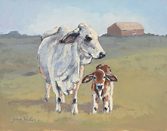 Sara Baker BAKE293 - BAKE293 - Brahman Baby - 16x12 Cows, Brahman Cows, Mother & Child, Farm Animals, Abstract, Love, Fields, Landscape from Penny Lane