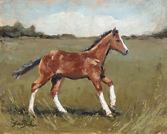 Sara Baker BAKE304 - BAKE304 - Little Filly - 16x12 Horse, Baby Horse, Filly, Farm Animal, Field, Landscape from Penny Lane