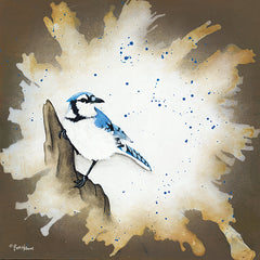 BHAR434 - Weathered Friends - Blue Jay - 12x12