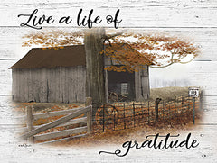 BJ1288 - Live a Life of Gratitude - 16x12
