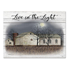 BJ1291PAL - Live in the Light - 16x12