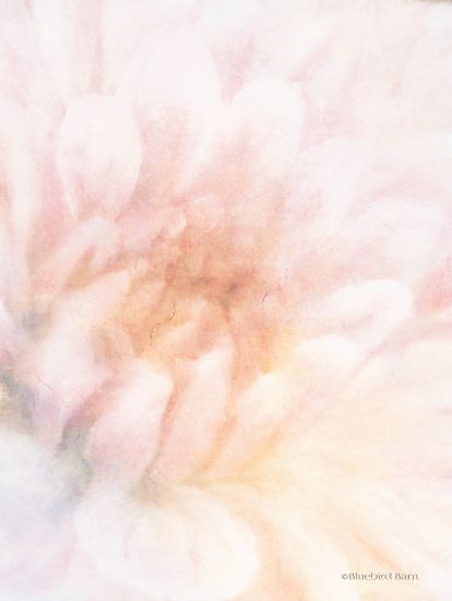 BLUE307 - Soft Dahlia Pastel Peach - 12x16
