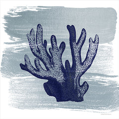 BLUE499 - Brushed Midnight Blue Elkhorn Coral - 12x12