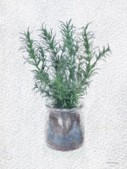 BLUE516 - Rosemary Jar - 12x16