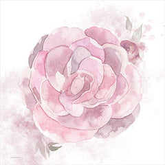 BLUE533 - Cottage Peony II - 12x12