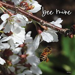 BOY622 - Bee Mine - 12x12