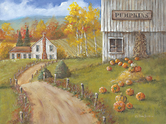 Pam Britton BR542 - BR542 - Harvest Pumpkin Farm - 16x12 Pumpkin Farm, Pumpkins, Farm, Barn, House, Road, Landscape, Fall, Autumn from Penny Lane