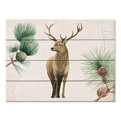 BRO271PAL - Deer in the Pines - 16x12