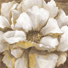 CC198 - Touch of Gold Bloom - 12x12