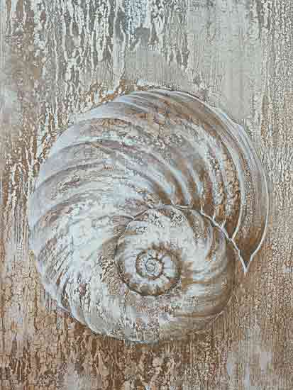 Cloverfield & Co. CC234 - CC234 - Rustic Seashell - 12x16 Coastal, Seashell, Shell, Rustic from Penny Lane