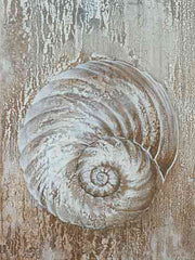 CC234 - Rustic Seashell - 12x16