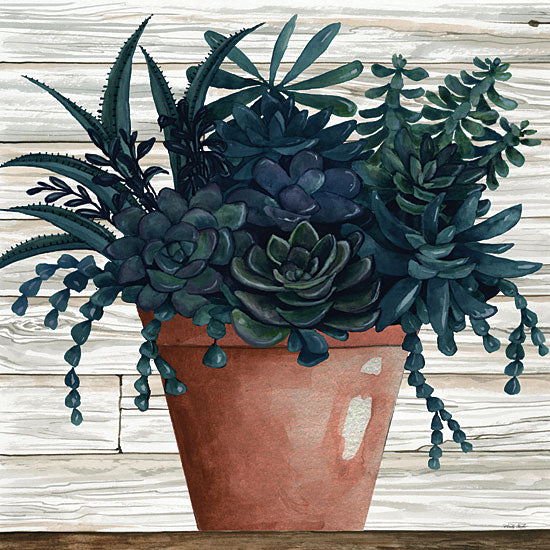 Cindy Jacobs CIN1952 - CIN1952 - Remarkable Succulents III - 12x12 Clay Pot, Succulents, Wood Planks from Penny Lane