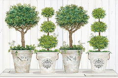 CIN1957 - Topiary Still Life - 18x12