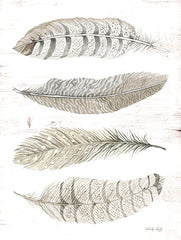 CIN1992 - Feather Quad    - 12x16