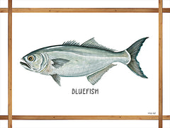CIN2256 - Bluefish on White - 16x12