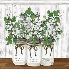 CIN2765 - Apple Blossom Trio - 12x12