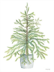 CIN2833 - Pine Tree in Pot      - 12x16