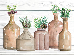 CIN2849 - Botanical Terra Cotta II - 16x12