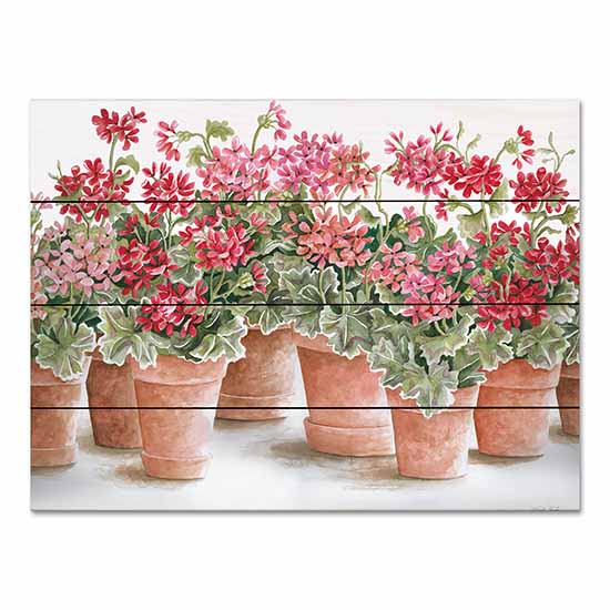Cindy Jacobs CIN2889PAL - CIN2889PAL - Potted Geranium Mix I - 16x12 Geraniums, Potted Geraniums, Flowers, Terracotta Pots, Spring, Spring Flowers from Penny Lane