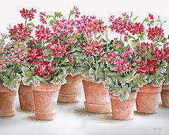 CIN2889 - Potted Geranium Mix I - 16x12