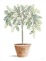 CIN3021 - Topiary I - 12x16