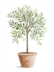 CIN3022 - Topiary II - 12x16