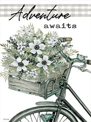 CIN3032 - Adventure Awaits - 12x16