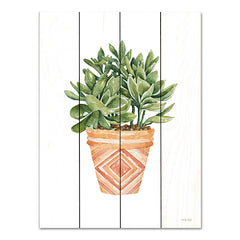 CIN3151PAL - Aztec Pot I - 12x16