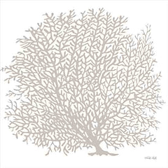 CIN3182 - Gray Coral I     - 12x12