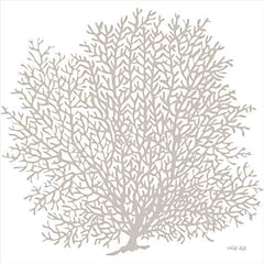 CIN3183 - Gray Coral II     - 12x12