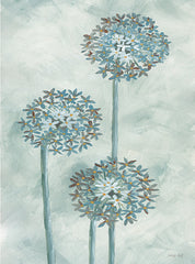 CIN3205 - Allium IV - 12x16