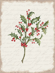 CIN3280LIC - Holly Christmas Botanical - 0