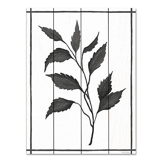 Cindy Jacobs CIN3516PAL - CIN3516PAL - Leaf Collection III - 12x16 Leaves, Leaf Collection, Black & White from Penny Lane