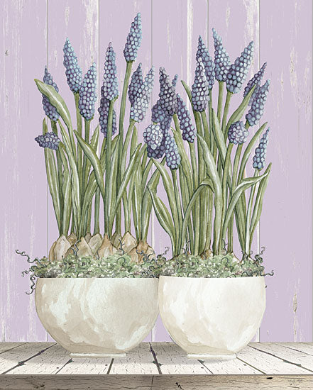 Cindy Jacobs CIN3532 - CIN3532 - Let Love Blossom - 12x16 Still Life, Potted Flowers, Bulbed Flowers from Penny Lane