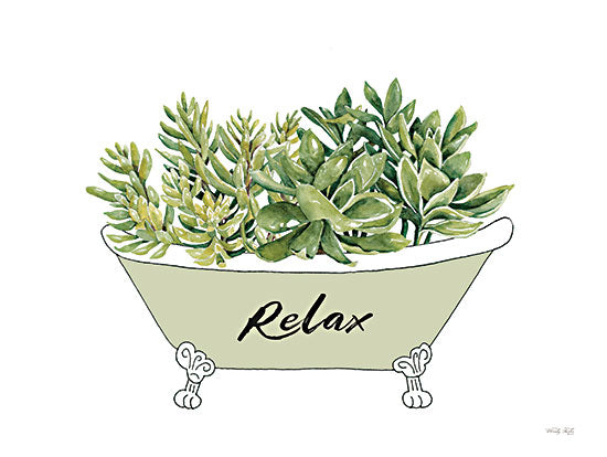 Cindy Jacobs Licensing CIN3603LIC - CIN3603LIC - Succulent Tub - 0  from Penny Lane