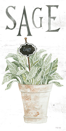 Cindy Jacobs CIN3630 - CIN3630 - Sage - 9x18 Kitchen, Herbs, Sage, Potted Herbs, Basil, Typography, Signs, Textual Art, Clay Pot, French Country from Penny Lane