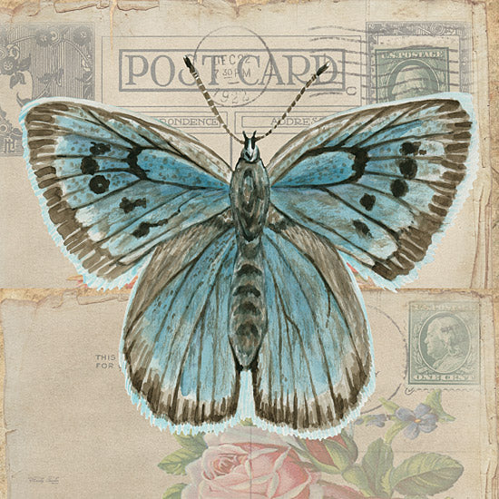 Cindy Jacobs Licensing  CIN3730LIC - CIN3730LIC - Postcard Butterfly I - 0  from Penny Lane