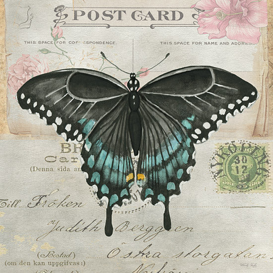 Cindy Jacobs CIN3732 - CIN3732 - Postcard Butterfly III - 12x12 Butterfly, Postcard, Blue & Black Butterfly, Typography, Signs, Vintage from Penny Lane