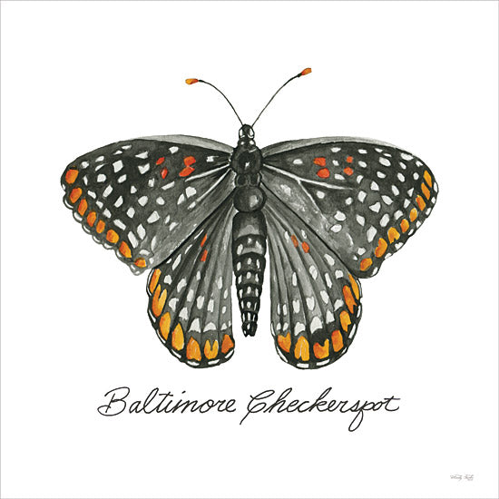 Cindy Jacobs CIN3734 - CIN3734 - Baltimore Checkerspot - 12x12 Butterfly, Baltimore Checkerspot Butterfly, Black & Orange Butterfly, Nature, Signs, Spring from Penny Lane