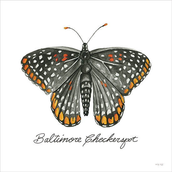 Cindy Jacobs CIN3734 - CIN3734 - Baltimore Checkerspot - 12x12 Butterfly, Baltimore Checkerspot Butterfly, Black & Orange Butterfly, Nature, Signs, Spring from Penny Lane