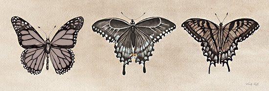Cindy Jacobs CIN3763 - CIN3763 - Antique Butterfly Sketch I - 18x6 Butterfly, Still Life, Insects, Antique Butterfly Sketch, Nature from Penny Lane