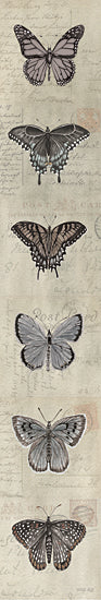 Cindy Jacobs CIN3768 - CIN3768 - Row of Butterflies II - 6x36 Butterflies, Row of Butterflies, Nature, Postcard Background from Penny Lane