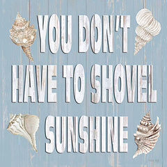CIN3953LIC - You Don't Have to Shovel Sunshine - 0