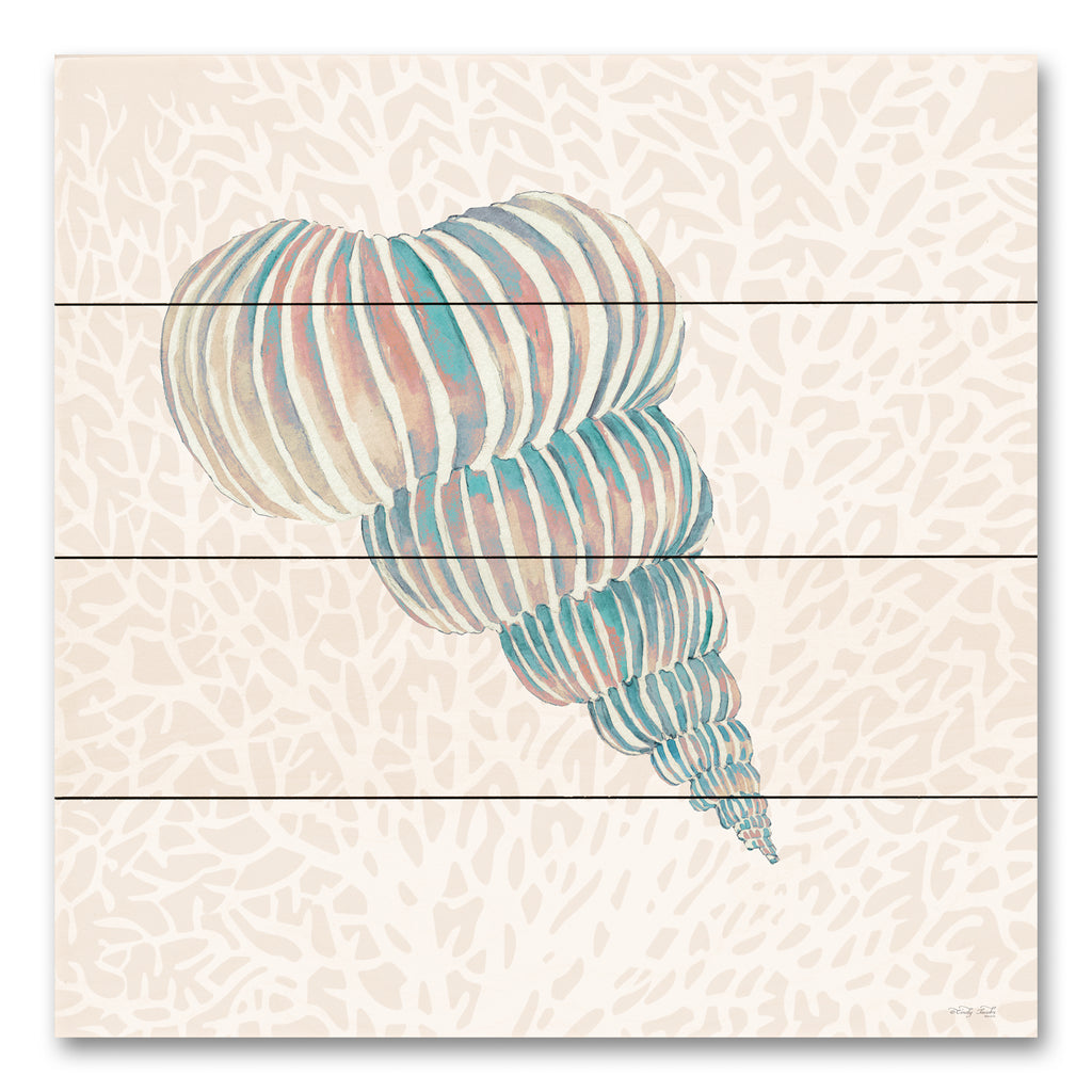 Cindy Jacobs CIN4098PAL - CIN4098PAL - Miami Vibe Seashell 1 - 12x12  from Penny Lane