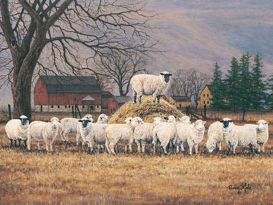 Bonnie Mohr COW176B - Wool Gathering - Sheep, Farm, Hay, Field from Penny Lane Publishing