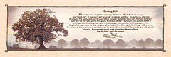 COW215C - Living Life - 18x6