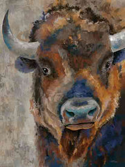 CTD192 - Wild Bison - 12x16